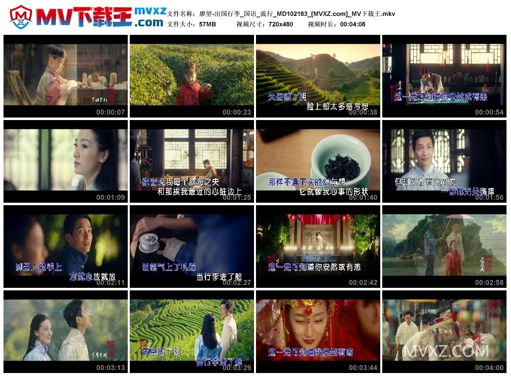廖望-出国行李_国语_流行_MD102183